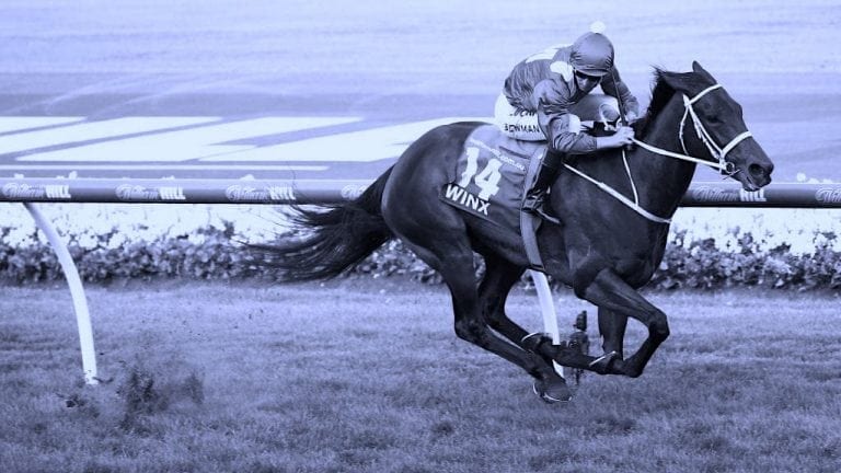 Winx Australia's greatest Racehorse