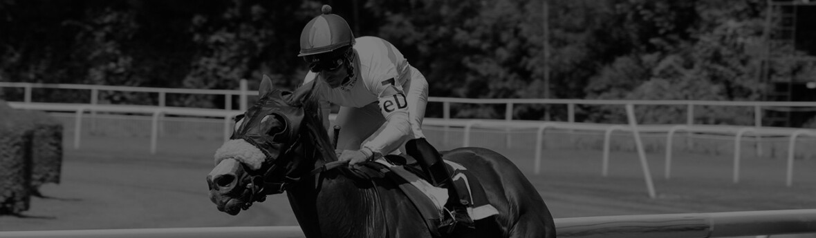 Free Horse Racing Tips