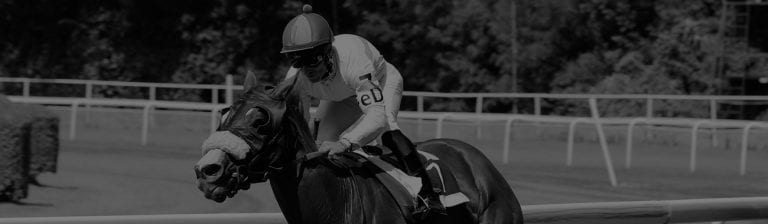 Free Horse Racing Tips