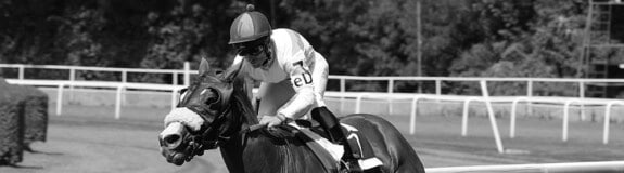 Melbourne Cup Jockeys