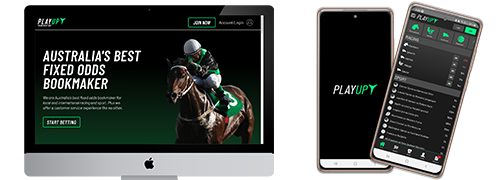 Playup Betting Site