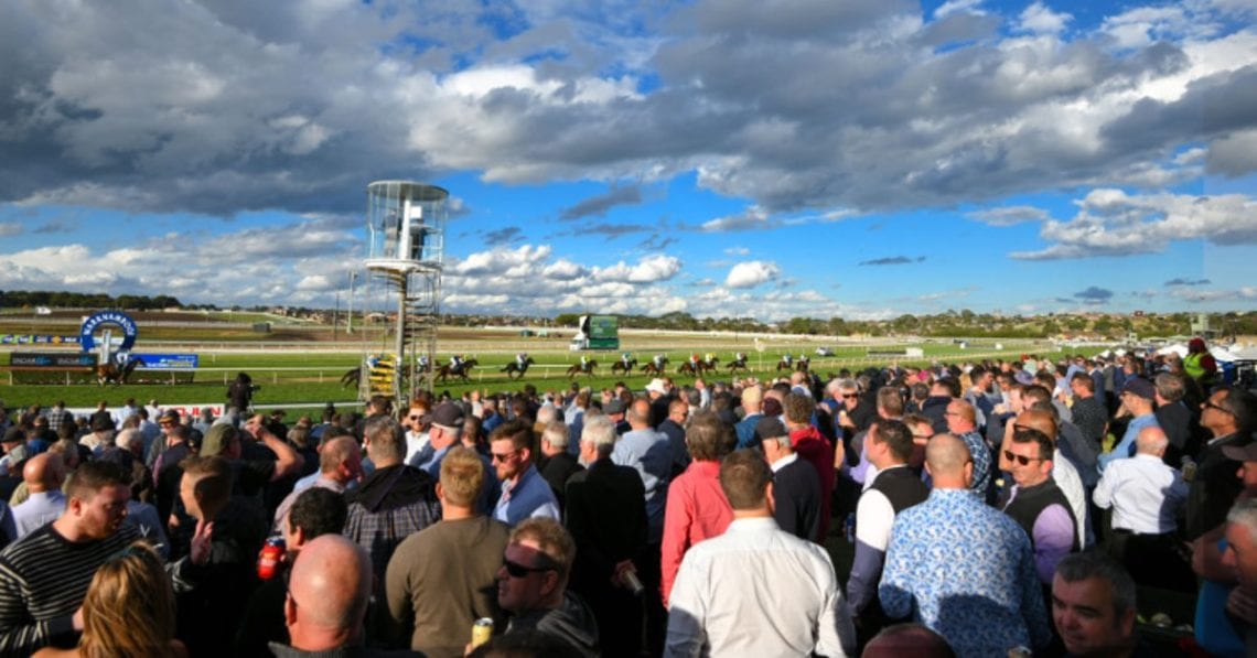 Bookies to return to the bool
