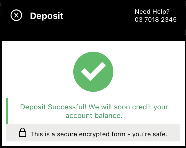 BetDeluxe Successful Deposit