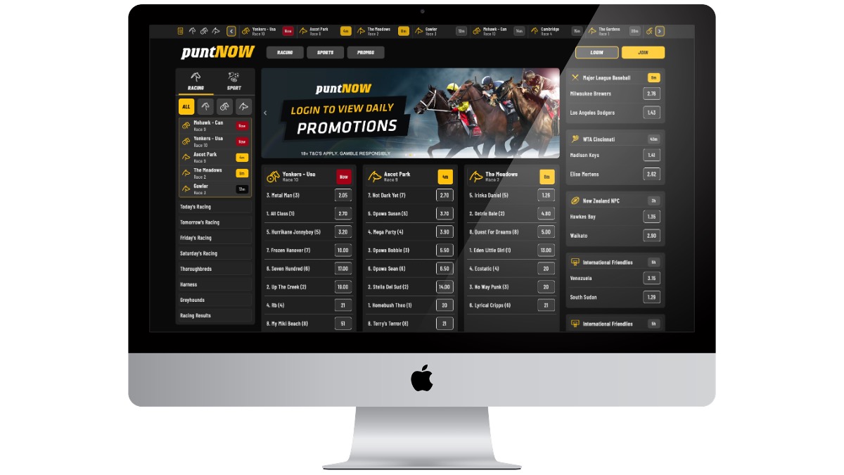 PuntNow New Betting Site