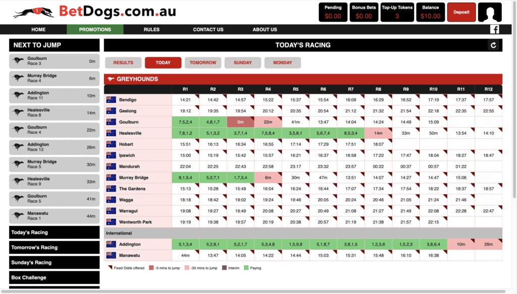 BetDogs Racing