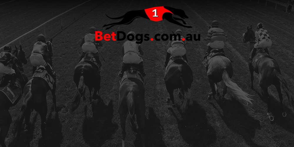 Review for betting site for BetDogs