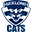 Geelong Cats Icon