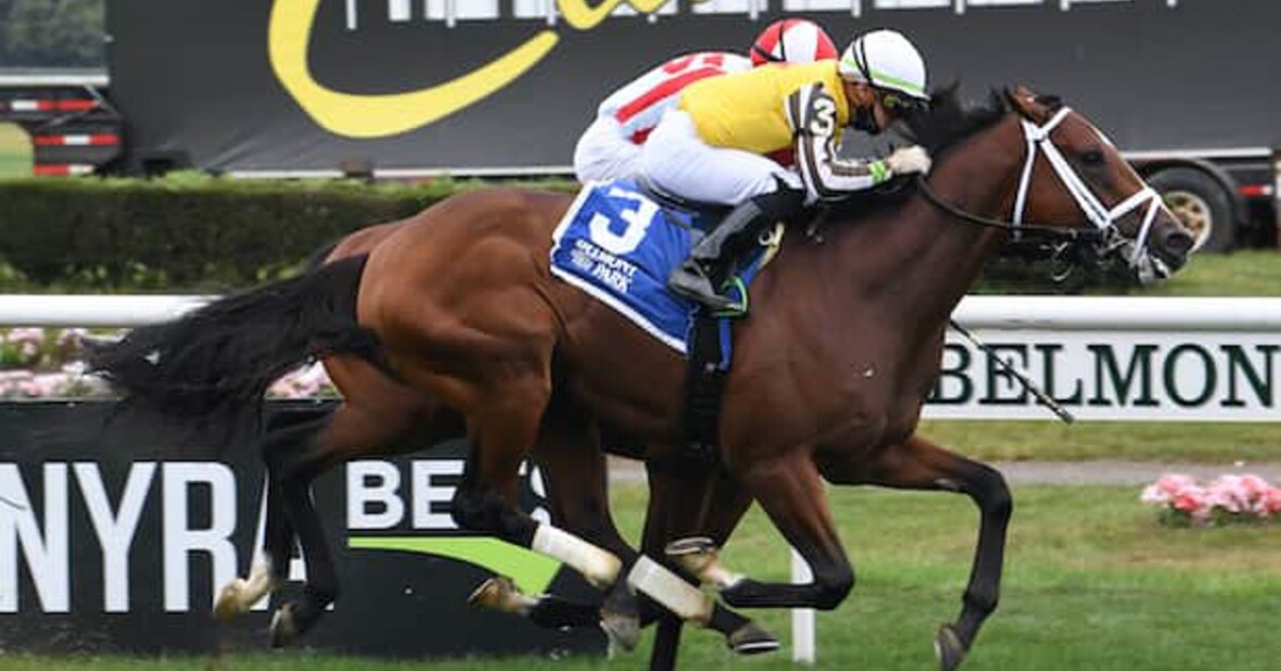 BetMakers Signs Deal With Penn National