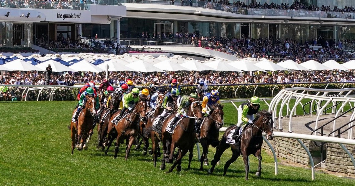 Melbourne Cup Horses