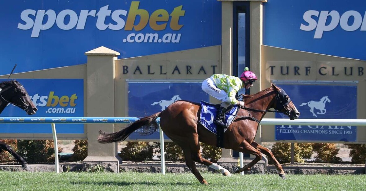 Former Sportsbet Affiliate Directs Traffic to Bet365