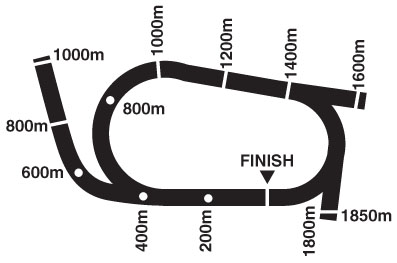 terang cup map