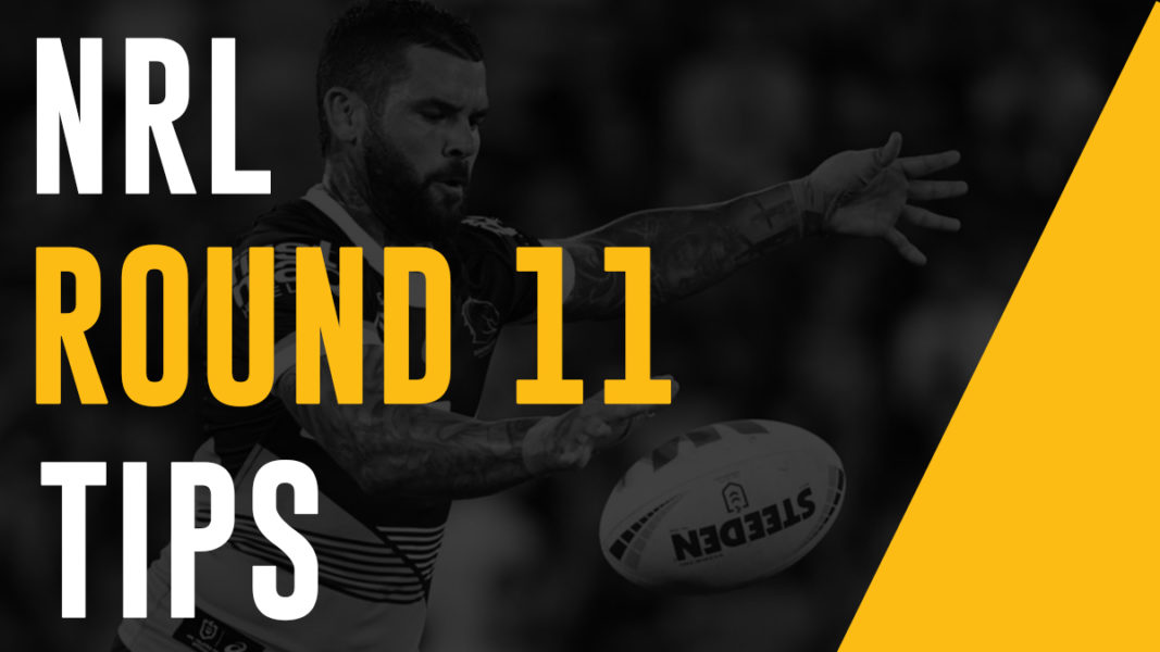 NRL Footy Tips Round 11