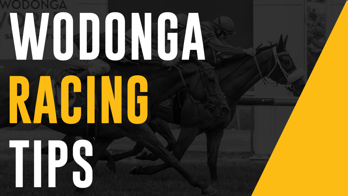 Wodonga Horse Racing Tips 11th September 2023 Best Bets & Value