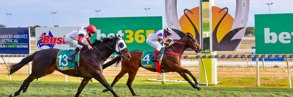 Swan Hill Racetrack