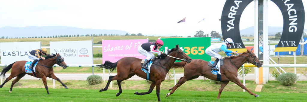 Terra Valley Racetrack