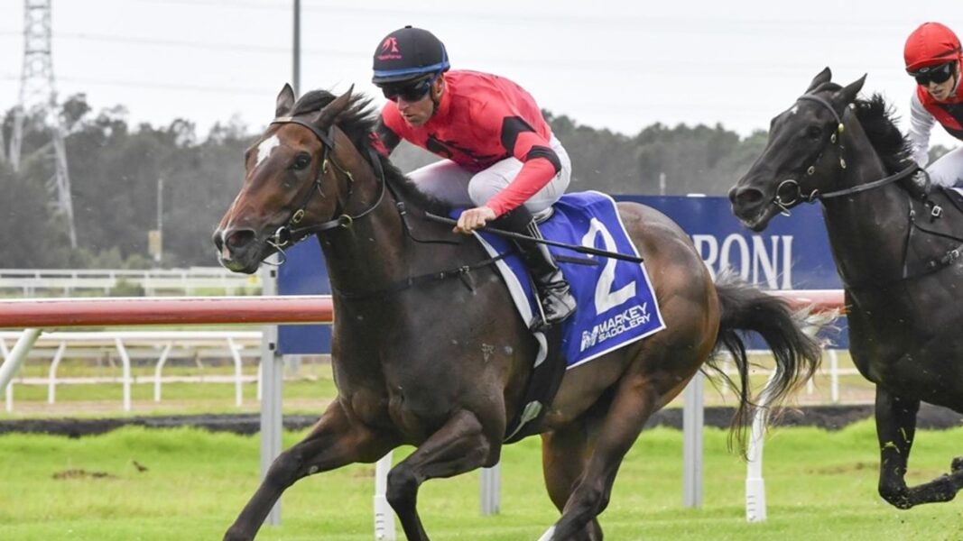Former Melbourne Cup Favourite Ready for Australian Debut