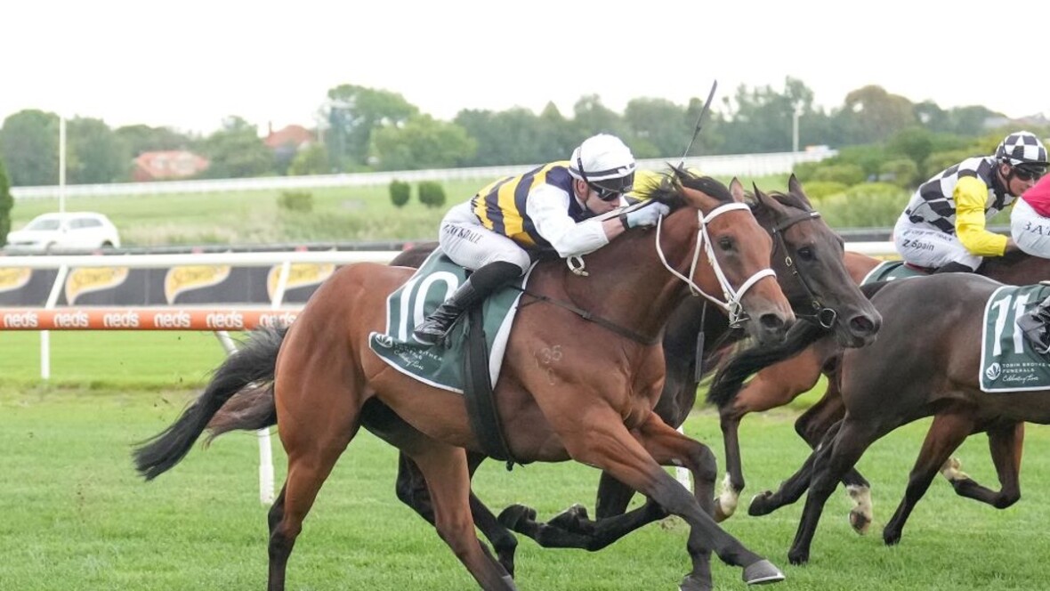 Promising Australian Stayer Lured by New Zealand’s Riches